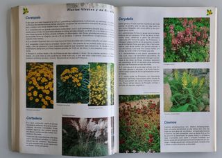 Plantas vivazes e para Jardins de Rocha