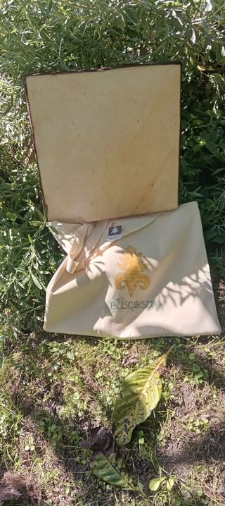 INSTRUMENTOS MUSICALES TRADICIONALES