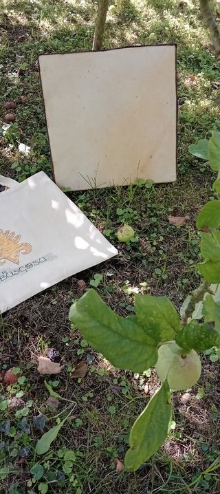 INSTRUMENTOS MUSICALES TRADICIONALES