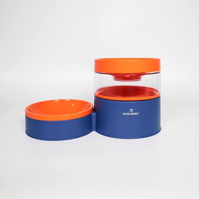 Comedero y Bebedero para Gatos, 2 en 1