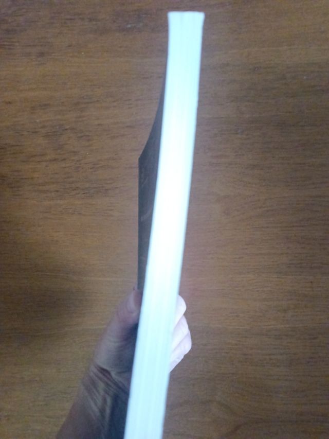 Libro-album "El zapato"