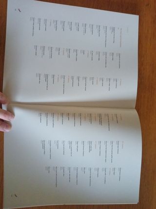 Libro-album "El zapato"