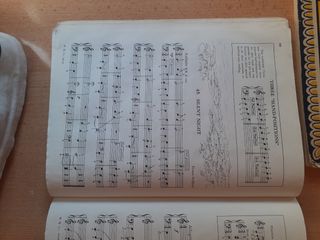 Libro de canciones para piano- principiantes