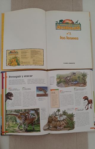 Libros infantiles. Cuentos.