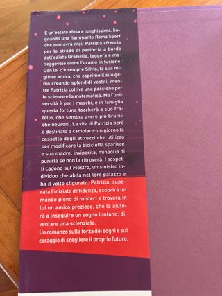 Libro : “ L’estate in cui caddero le stelle “