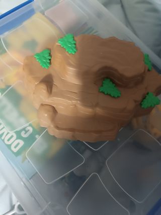 Animales de La colección del Zoo