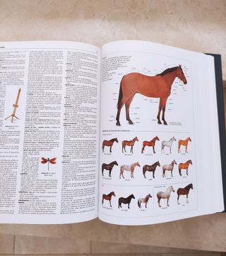 Diccionario ilustrado lengua española