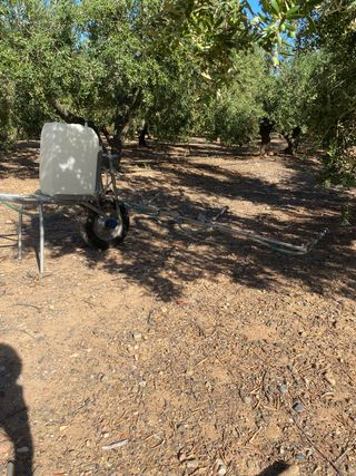 ensulfatadora / ensufatadora (cat)