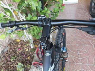 Bicicleta MTB Race 29