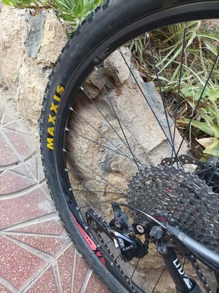 Bicicleta MTB Race 29