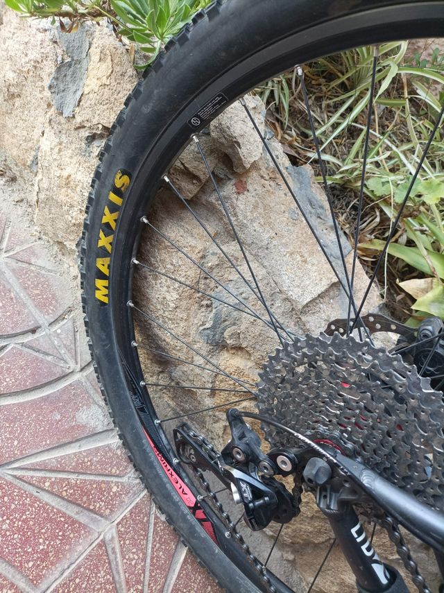 Bicicleta MTB Race 29