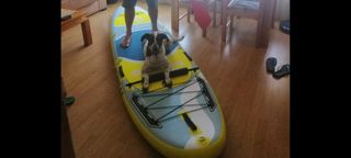 TABLA DE PADDLE SURF