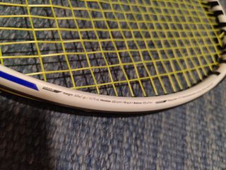 Raqueta Tecnifibre t fight 305 Rs L2