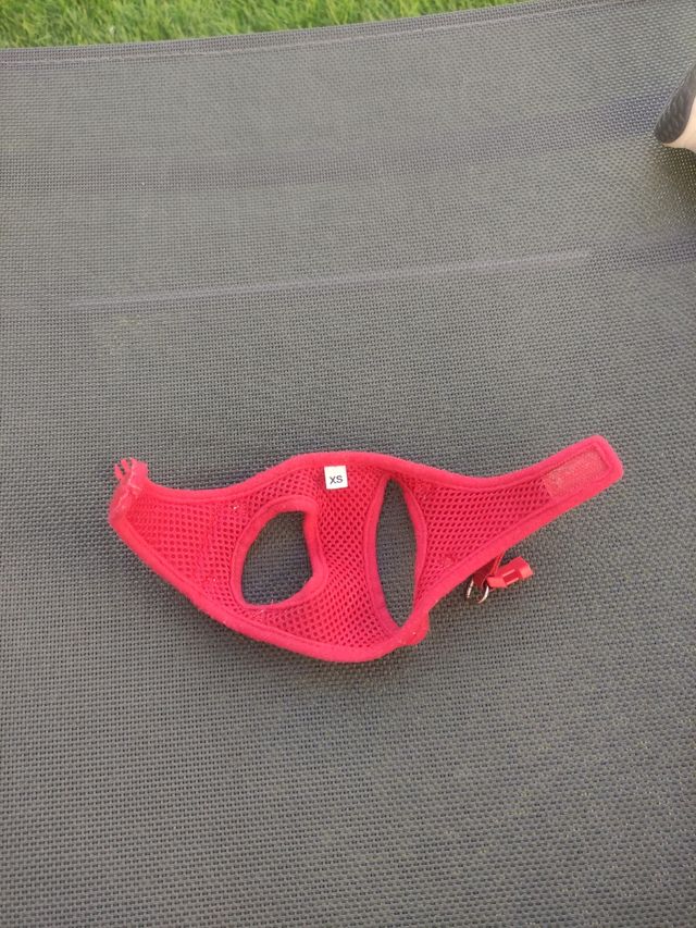 Pettorina per cuccioli