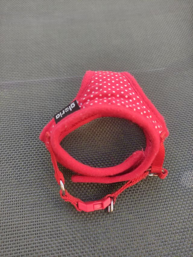 Pettorina per cuccioli