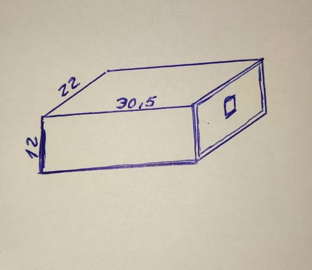 Caja y bolsa Louis Vuitton