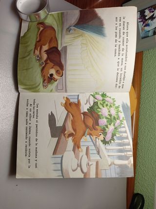 "Reina" -  Colección "Pequeño libro dorado"