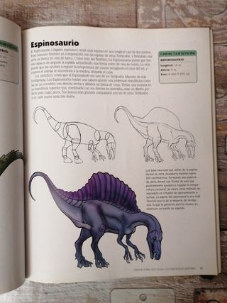 Libro: Dibujar dinosaurios