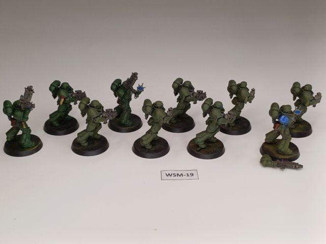 WSM-19 10 Primaris Space Marines Intercessor