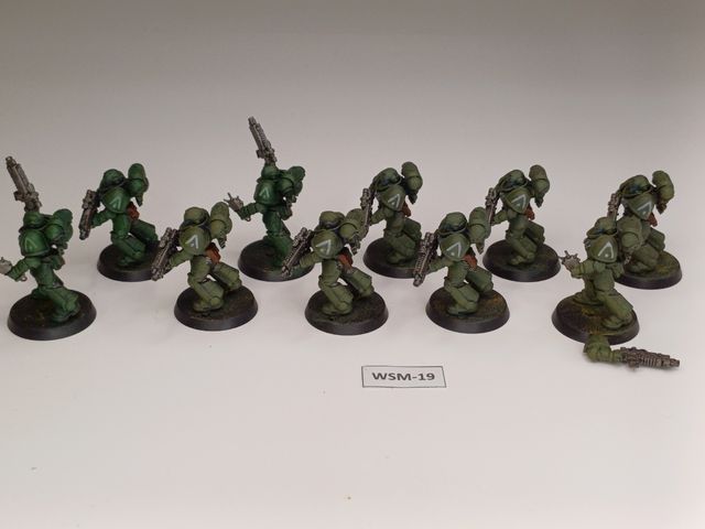 WSM-19 10 Primaris Space Marines Intercessor