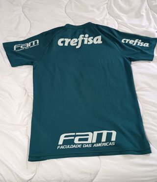 Camiseta oficial del Palmeiras