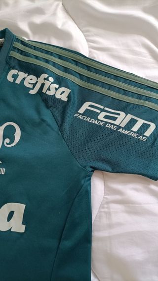 Camiseta oficial del Palmeiras