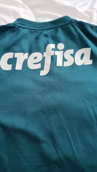 Camiseta oficial del Palmeiras
