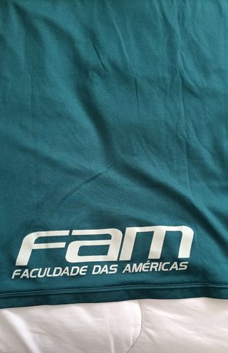 Camiseta oficial del Palmeiras
