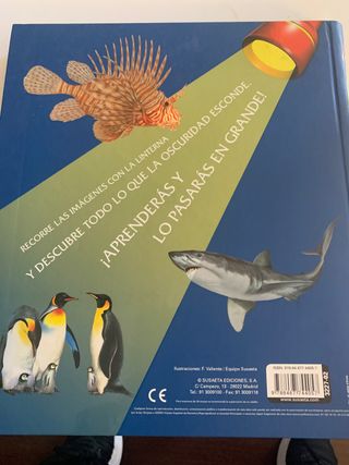 animales del mar con linterna