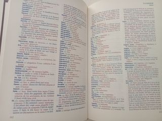 Diccionario Francés Español - Español Francés