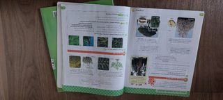 Libro de texto. Natural Sciences 5 prima