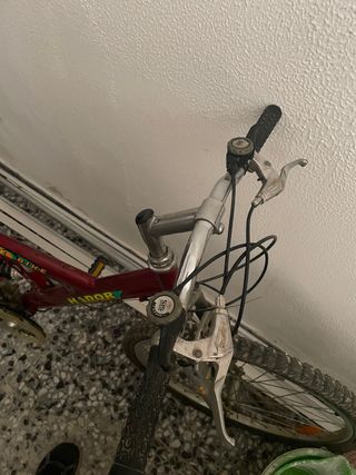 Bicicleta de montaña