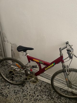 Bicicleta de montaña