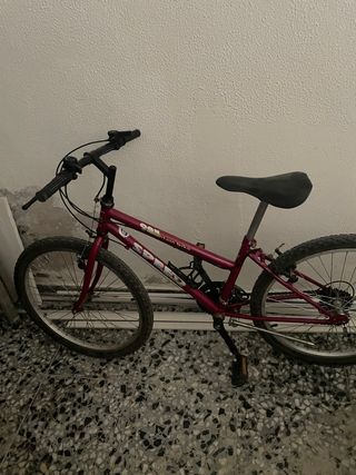 Bicicleta de montaña