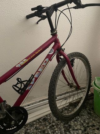 Bicicleta de montaña