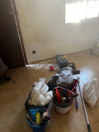 pintor general