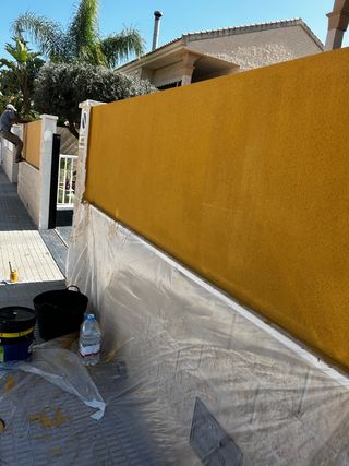 pintor general