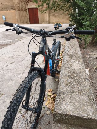 Bicicleta Rose Root Miller 29 Enduro