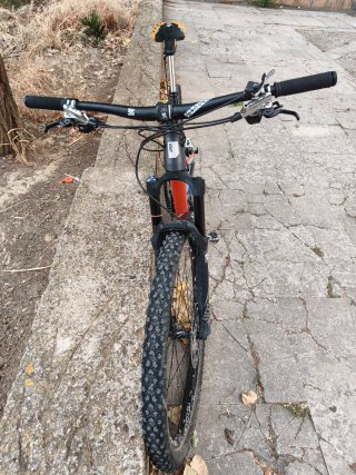 Bicicleta Rose Root Miller 29 Enduro