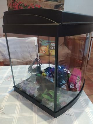 Acuario 20l