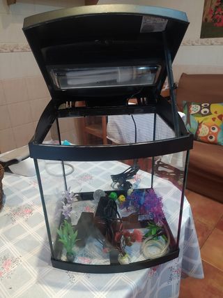 Acuario 20l