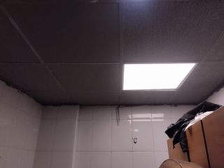 Ofrezco servicio de pintor