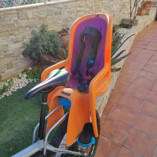 Silla portabebe bicicleta Thule Ridealong