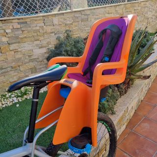 Silla portabebe bicicleta Thule Ridealong