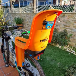 Silla portabebe bicicleta Thule Ridealong
