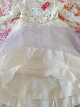 Vestido de fiesta o disfraz 
