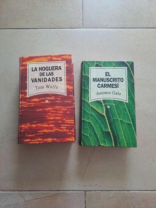 La hoguera de las vanidades + El manuscrito carmes