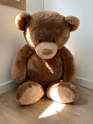 oso peluche
