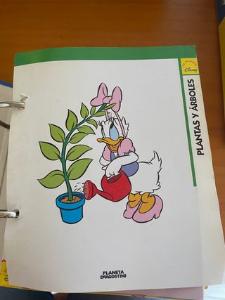 Coleccion fichas Planeta Disney