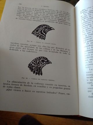 LIBRO CAZA LA PERDIZ Y CAZAS PLUMA